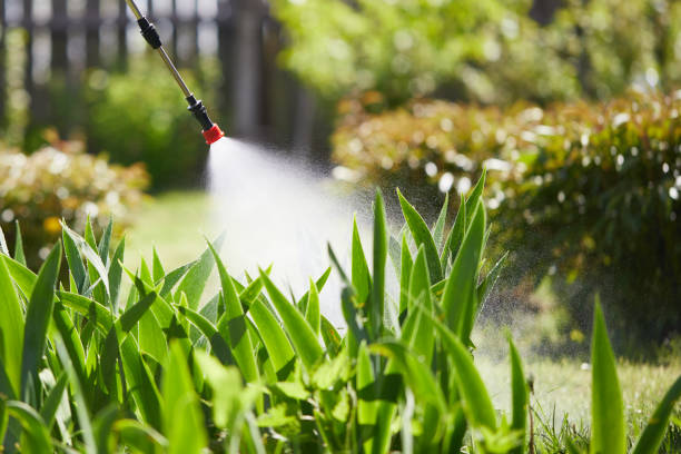 24/7 Emergency Mosquito Control experts in Cordova, NC